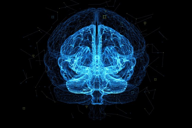 Digital image of artificial intelligence human brain.