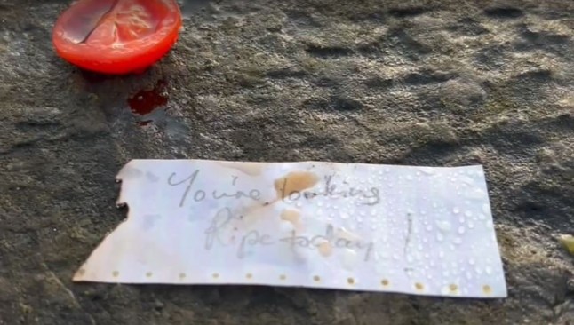 People stumped after all sorts of tomatoes on this bridge in bizarre trend