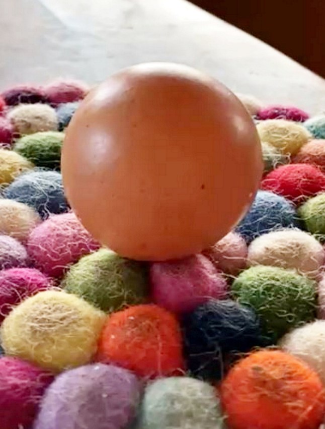 The spherical shaped egg. Release date - January 17, 2025. A rare 'perfectly spherical' egg was found on a farm - and could fetch up to ?200 at an auction sale. Egg processer Ali Greene was working at a shift when she saw one egg "moving differently" on the conveyor belt. The woman who works for Fenton Farm Eggs in Devon found that the chances to find a round egg are "one in a billion". After doing some research she found out that in the past a round egg was sold for ?200. And she is now hoping to sell the egg found in the farm at an auction sale in Exeter on March 18 raise funds for a charity.