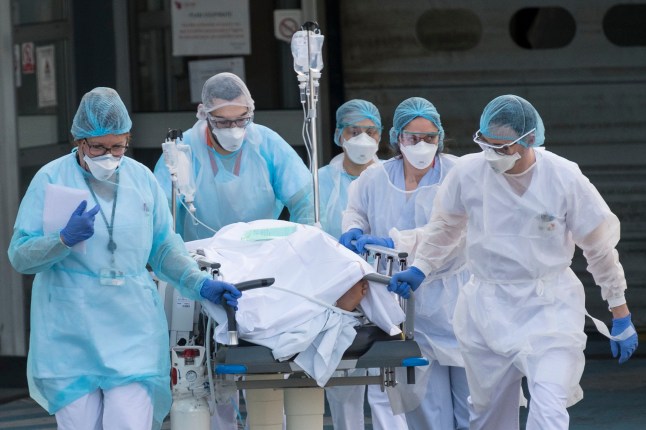 List of viruses that pose biggest threat to public health released