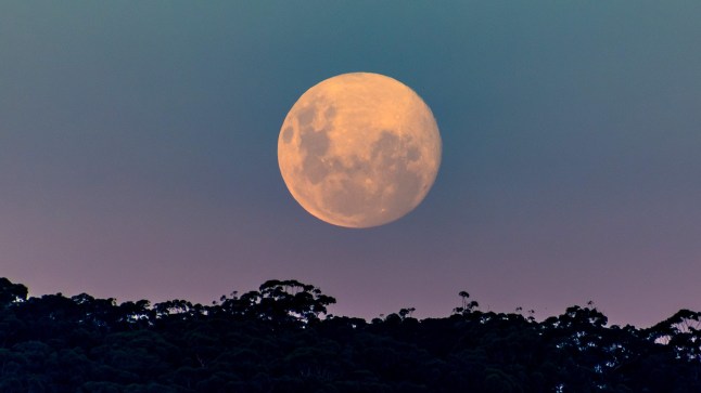 The pink supermoon, full moon is almost here, 99% tonight for sunset at Woy Woy, NSW, Australia.