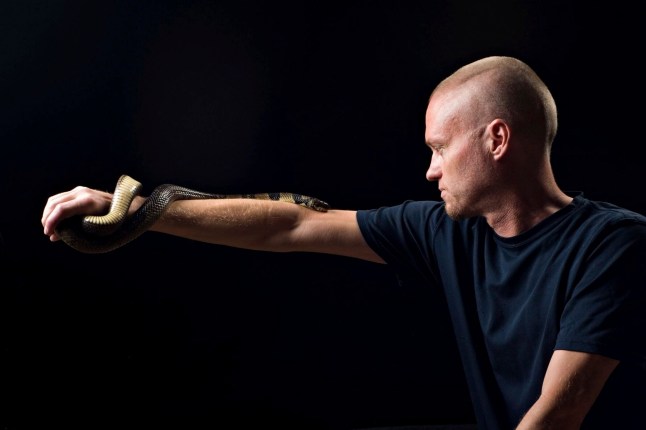 This undated photo provided by Centivax in 2025 shows Tim Friede, who is hyper-immune to the venom of various snakes, with a water cobra wrapped around his arm. (Centivax via AP)