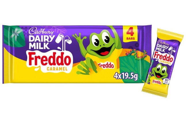 Freddo 4 pack