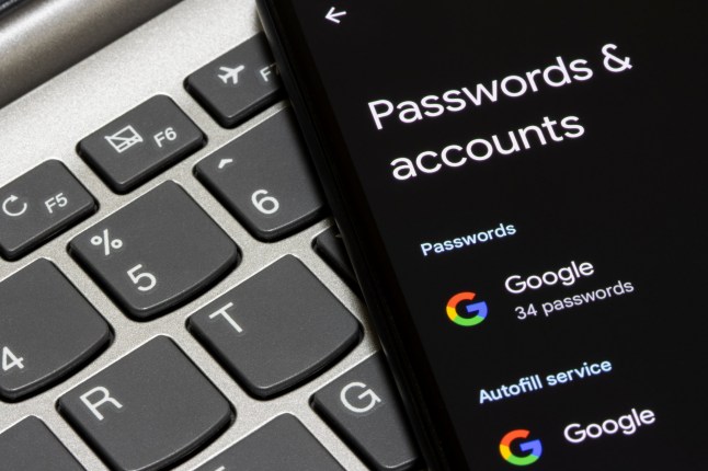 Portland, OR, USA - Apr 20, 2023: Passwords and Accounts Settings page is seen on a Google Pixel 4a smartphone. Autofill passwords are stored in the Google account.; Shutterstock ID 2291737327; purchase_order: -; job: -; client: -; other: -
