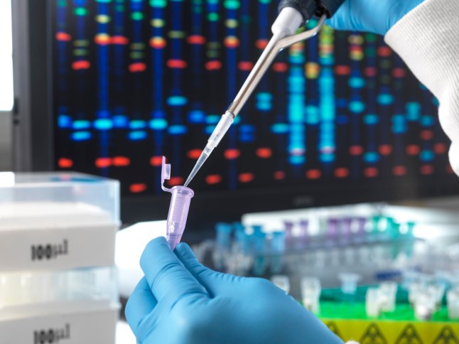 Scientist pouring DNA sample through pipette in test tube