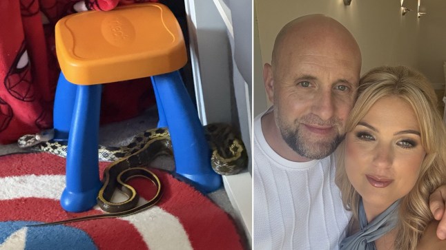 Natasha and Gary and the snake they discovered in their child's bedroom