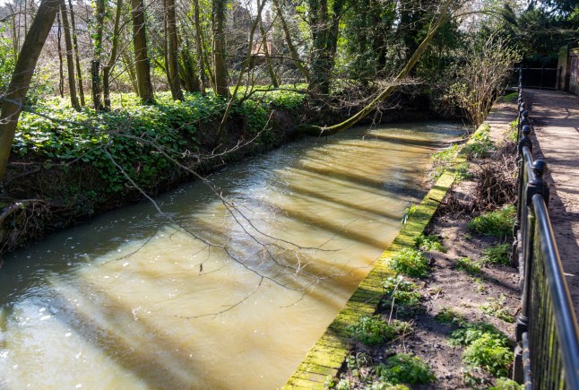River Blyth tributary fast flowing channel in town of Halesworth, Suffolk, England, UK. (Photo by: Geography Photos/Universal Images Group via Getty Images)
