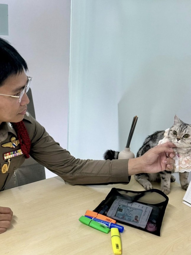 Nub Tang on a desk being stroked by a Thai police officer