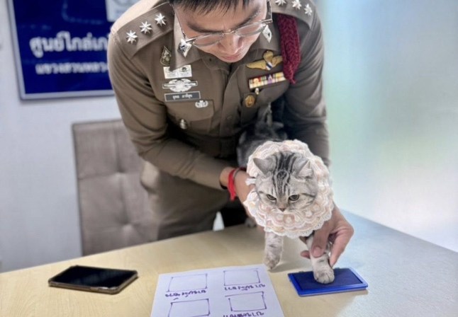 Nub Tang having her paw print taken by a police officer