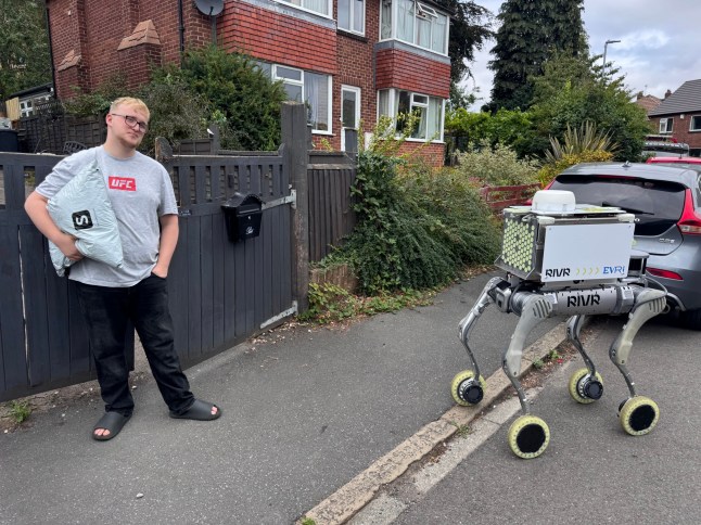 Robot dog out on delivery
