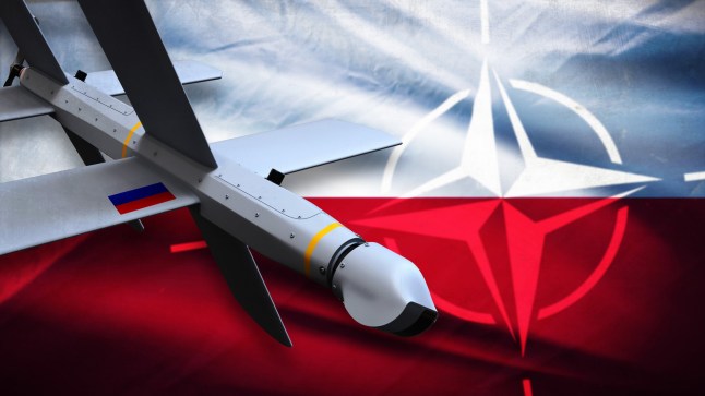 Nato members should show their resolve in response to the Russian drone violations in Poland according to a former British Air Vice-Marshal