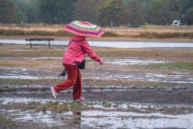 Mandatory Credit: Photo by Amer Ghazzal/Shutterstock (15461564b) A walker with an umbrella braves the wet conditions during a downpour on a waterlogged Wimbledon Common, south west London this morning. The met office has issued a yellow warning or rain across parts parts of England as hurricane Erin moves in from the Atlantic Seasonal Weather, Wimbledon, London, United Kingdom - 29 Aug 2025