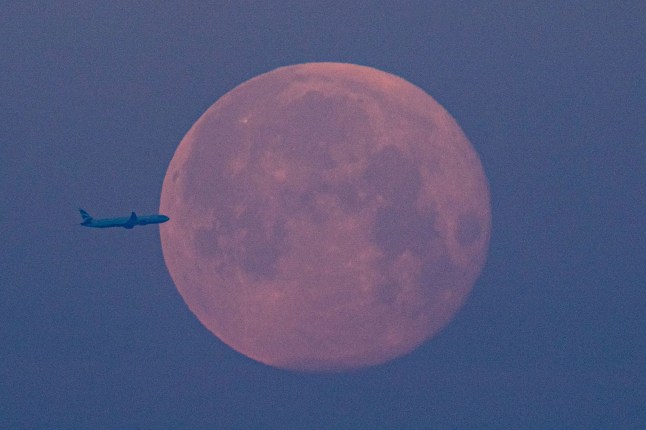Mandatory Credit: Photo by Rick Findler/Shutterstock (11975173e) An airplane passes in front of the blood supermoon as it begins to set behind a misty London city skyline this morning. May's full moon is the second of two supermoons in 2021 where the moon appears 15% bigger and 30% brighter than usual as it is at it's closest to the Earth than the rest of the year. Supermoon over London, UK - 27 May 2021