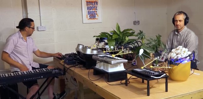 There's a band in Manchester where the drummer is literally mushrooms Bionic and the Wires