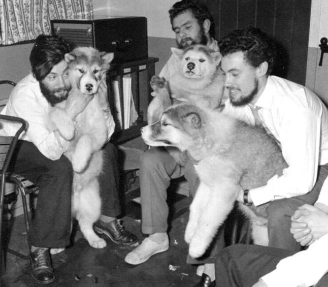 Dennis Bell (left) with his fellow colleagues and the dogs that helped them to work in Antarctica. Midwinter 1959 at Admiralty Bay Base. The remains of an Antarctic researcher have been discovered by a Polish team among rocks exposed by a receding glacier in Antarctica. They are identified by DNA as those of Dennis ?Tink? Bell, a 25 year-old meteorologist who was working for the Falkland Islands Dependencies Survey (FIDS), the predecessor of the British Antarctic Survey (BAS). He died in a crevasse on a glacier at Admiralty Bay on King George Island, situated off the Antarctic Peninsula on 26 July 1959. His body was never recovered.
