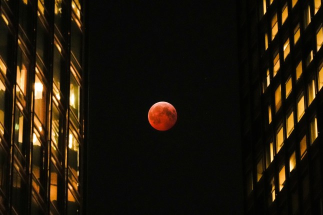 FILE - A total lunar eclipse, known as the blood moon, is visible between skyscrapers Friday, March 14, 2025, in downtown Chicago. (AP Photo/Kiichiro Sato, File)