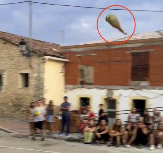 Story from Jam Press (Ham Throwing Contest) Pictured: A video grab of Spanish villagers hosting a bizarre annual content to see who can throw a ham the farthest. VIDEO: Meat your match! Spanish village hosts bizarre ham-throwing contest A Spanish village hosts a bizarre annual contest to see who can throw a ham the farthest. Footage from this year?s event shows hopefuls hurling hefty hams into a marked area reminiscent of a hammer throw landing sector. The quirky competition takes place every August in Carrascosa de la Sierra. Nestled in Spain?s Soria province, the village is home to just 70 year-round residents ? but the population balloons to over 400 during the festivities. Known as the Campeonato de Lanzamiento de Pernil - Ham Throwing Championship - the tradition began decades ago as a joke among friends at the local bar. This year, it went viral thanks to 24-year-old Tal?a Benedicto, who has roots in the village and shared a montage of the event on social media. The thrown ham isn?t wasted ? it?s wrapped in tape and bubble wrap before being launched and serves as a trophy for whoever throws it the farthest. Tradition dictates, however, that the winner shares it with locals and visitors alike. This year?s men?s champion was Sergio Garc?a, whose throw reached 20.55 metres, as reported by What's The Jam. There are also categories for women, who throw shoulder hams; children, who launch salchich?n; and even toddlers, who toss mini fuet. What began in 1997 as a quirky idea to liven up the August festivities has become the village?s defining symbol. ?The locals are really excited because we?ve put Carrascosa on the map,? Tal?a told local media. Carrascosa isn?t alone in Spain?s oddball festival scene. In Carcabuey, C?rdoba province, there?s an olive-pit spitting championship. In the Galicia region, turnip tops fly through the air in a dedicated contest. The Navarra region hosts espadrille-flinging events. And in the Castile and Le?n region, contestants toss hoes in pursuit of glory. ENDS EDITOR?S NOTE: Quotations have been translated to English. We would advise obscuring the faces of the children in the crowd shown in the video prior to publication. Grabs have been provided with blurring for your reference. Video Usage Licence: (NON-EXCLUSIVE) We have obtained a non-exclusive licence from the copyright holder. A copy of the licence is available on request. Video Restrictions: None.