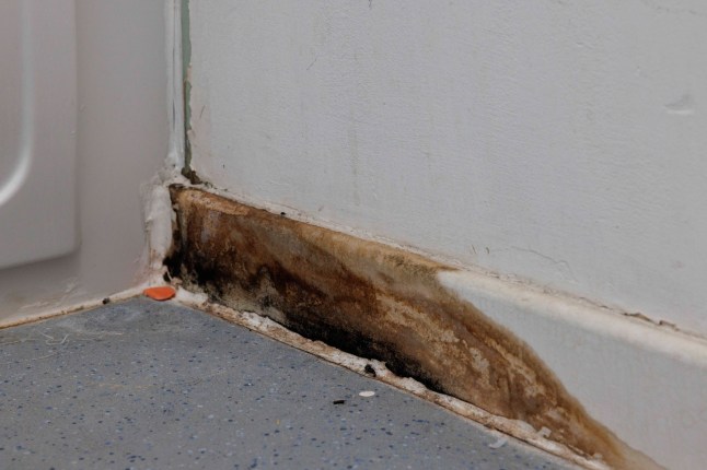 Inside the flat of Remi Olawe, 49, mother of five, which suffers from mould issues and has a broken boiler that the Housing Association has not been able to fix. Pictured: Mould in the bathroom. (C) Belinda Jiao 07598931257 www.belindajiao.com jiao.bilin@gmail.com
