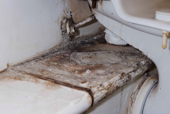 Inside the flat of Remi Olawe, 49, mother of five, which suffers from mould issues and has a broken boiler that the Housing Association has not been able to fix. Pictured: Mould in the bathroom. (C) Belinda Jiao 07598931257 www.belindajiao.com jiao.bilin@gmail.com