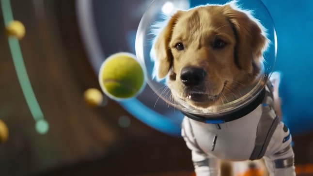 OpenAI launches TikTok competitor app Sora