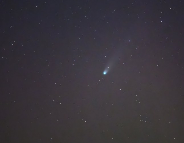 The comet Lemmon C/2025 A6 shines in the night sky over the landscape in eastern Lietzen, Germay, late Saturday, Oct. 18, 2025. Patrick Pleul/dpa via AP)