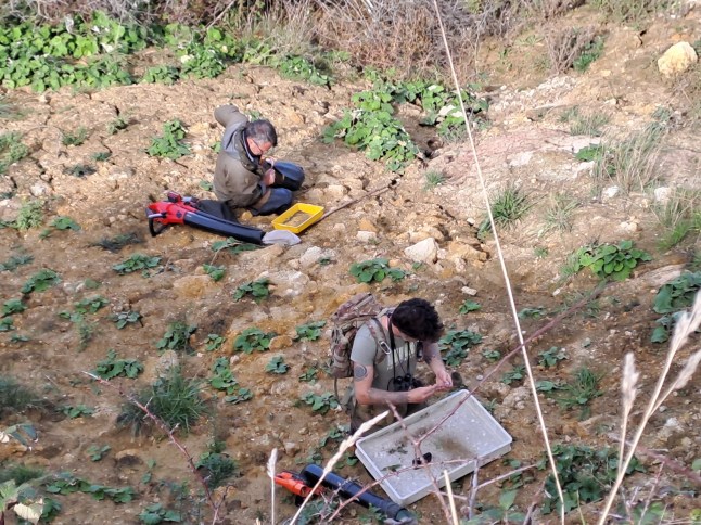 Entomologists at Newtown National Nature Reserve Embargoed for 0001 Thursday 30 October 2025 Rare spider rediscovered in Britain after 40 years ? just in time for Hallowe?en Critically endangered "White-knuckled Wolf Spider? found on the Isle of Wight. Rediscovery a result of National Trust conservation efforts funded by Natural England ? and helped by Hebridean sheep. British Arachnological Society call the find ?one of Britain?s epic 'lost species' rediscoveries of the century?. New Trust campaign encourages people to go wildlife watching this autumn.