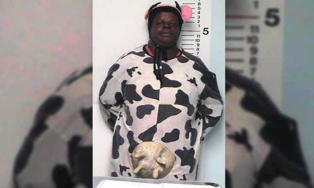 The best mug shots featuring people who have been arrested over the Halloween period have been revealed on the Internet. Michelle Alllen from Middletown, Ohio was arrested for urinating on a neighbour's porch and chasing children while dressed as a cow.