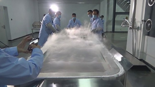 First man to cryogenically freeze his wife in the hope she can be revived in 30 years gets into new relationship two years into it - Gui Junmin, Zhan Wenlian