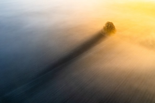 NATURE CATEGORY 1ST PLACE: The Long Shadow???(by???Christopher???Harrison), Oxfordshire (England). "On the first day of meteorological spring, the warm sunrise light filtered through the low-lying mist, casting a striking long shadow behind this small cluster of trees atop an ancient Bronze Age burial mound". The Siena Drone Photo Awards 2025 winners have been announced. The event showcases the impressive work of aerial photographers around the world. The organisers said: "Drone Photo Awards 2025 is the award that celebrates aerial photography as a language capable of transforming the world seen from above into images of great impact and suggestion." The international jury chose German photographer Dennis Schmelz as the overall winner in 2025 with The Lone Horseman, made in Cappadocia: a lone rider immortalised on a rocky outcrop during the blue hour, in an image that blends beauty, mystery and unique perspective on an iconic landscape of Turkey. Dennis Schmelz said: "I took this photo in Cappadocia while searching for new angles, which can be quite a challenge in a place where every corner seems to have been photographed already. During a sunset shoot with a horseman, I discovered this perspective with my drone. It creates the illusion that he???s standing on a plateau, when in reality it???s just the angle that makes it look this way. This shot feels truly rare, a fresh view from a spot that???s usually crowded and over-photographed." Photo released 20/11/2025