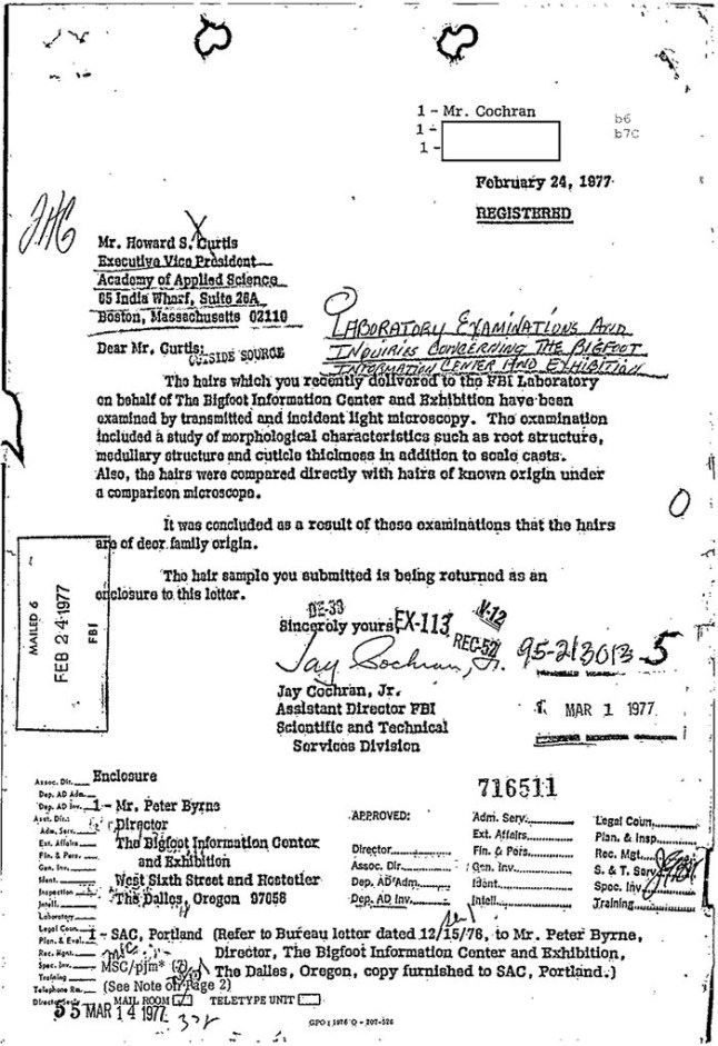 Bigfoot?s official file has been released by the FBI