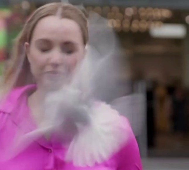 15347161 - New Zealand reporter hit by a bird on camera