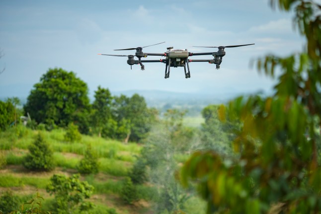 agricultural drones as they efficiently spray fertilizer over lush Durian tree orchards. Experience modern farming practices that promote sustainability and precision in agriculture