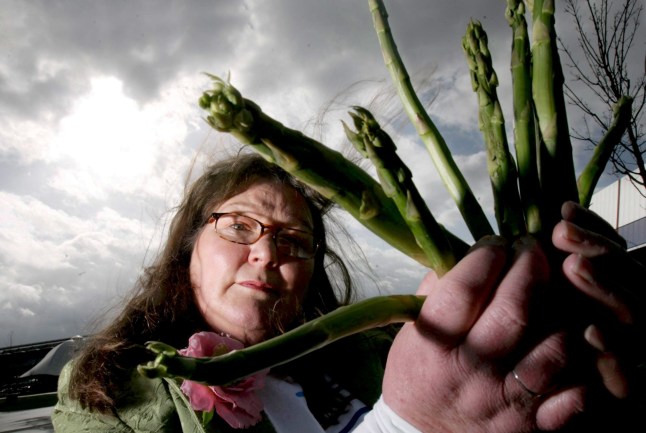 Jemima Packington, Britain's only fortune teller who uses asparagus to see into the future