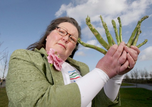 Jemima Packington, Britain's only fortune teller who uses asparagus to see into the future