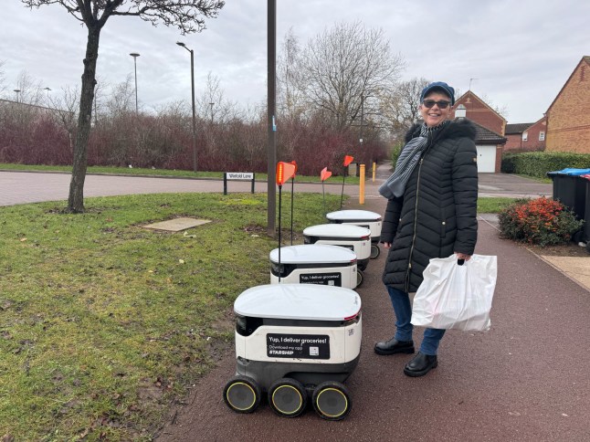 Robots in Milton Keynes
